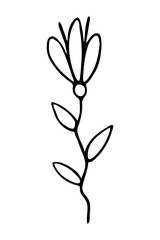 Vector isolated element. Illustration with flower. Minimalist hand drawn doodle. Black line.