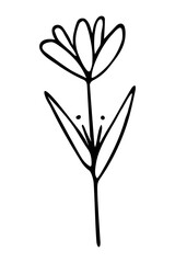 Vector isolated element. Illustration with flower. Minimalist hand drawn doodle. Black line.