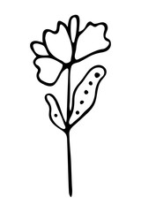 Vector isolated element. Illustration with flower. Minimalist hand drawn doodle. Black line.