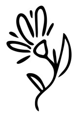 Obraz premium Vector isolated element. Illustration with flower. Minimalist hand drawn doodle. Black line.