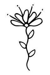Naklejka premium Vector isolated element. Illustration with flower. Minimalist hand drawn doodle. Black line.