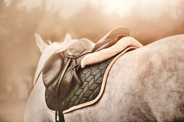 A rear view of a dappled grey horse with a leather sports saddle on its back and a dark padded...