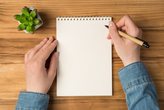 Overhead photo of empty notepad hands with pen and flowerpot isolated on wooden backdrop