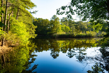 Fototapeta na wymiar lake water landscape nature reflection