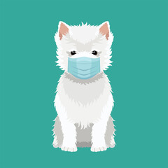 Vector portrait of West highland white terrier wearing face mask isolated on white background