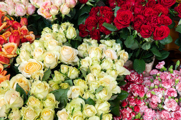 Variety of group of roses in a florist shop