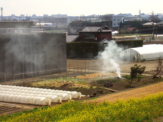 菜の花咲く江戸川土手から見る煙の上がる畑風景