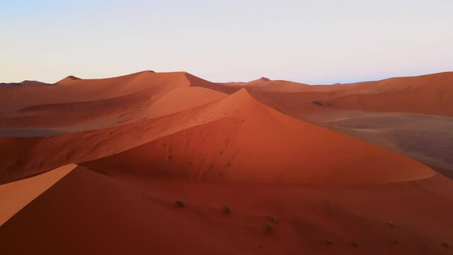 Descending drone shot of dunes in african desert. Aerial view on tall golden barchans and plain of barren wilderness inbetween. Natural landscape of sand hills of various shape and size from drone.