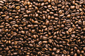 Coffee beans on dark background