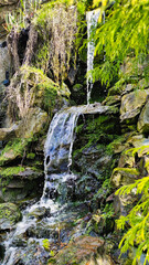 A waterfall among rocks and vegetation.