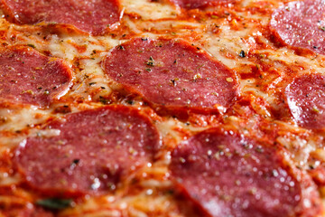 Salami pizza with cheese macro