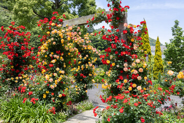 アカオ ハーブ＆ローズガーデン