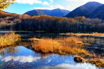 観音沼公園の紅葉