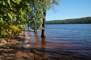 St. Croix River floods the shoreline at Afton State Park in Washington County, Minnesota. 
