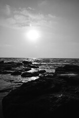 Bad condition of sea shore with toxins and oil spills on the coast and polluted water