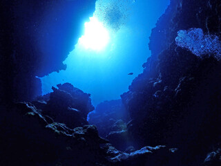 神秘的な夜の海底／沖縄・石垣島