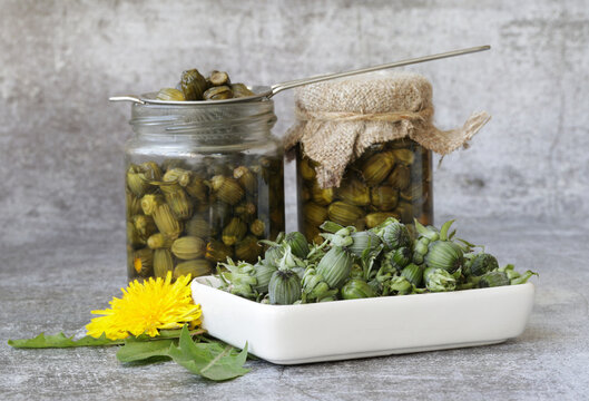 Young dandalion buds collected to prepare false capers.