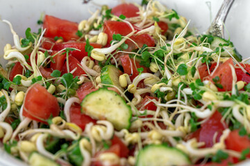 Closeup bowl with vegetable salad, microgreens, sprouts of cereals and broccoli, tomatoes, cucumbers, oil, salt, pepper. Healthy energetic meal. Soft selective focus, cCopy space.