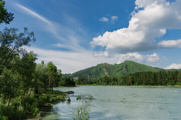Summer landscape. View of a green mountain, blue sky, turquoise river and coastal forest. Russian Siberian nature. Altai