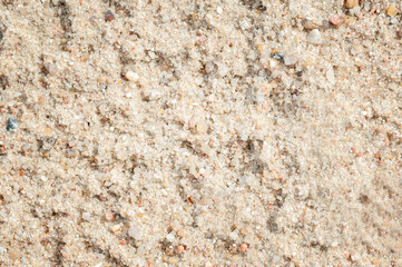 Sand with small stones. Summer background. 