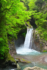 四国徳島県の山中にある大釜の滝と大轟の滝。新緑と映える。