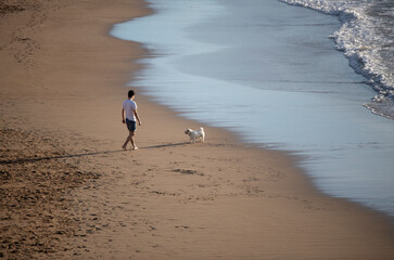 walking the dog on the beach