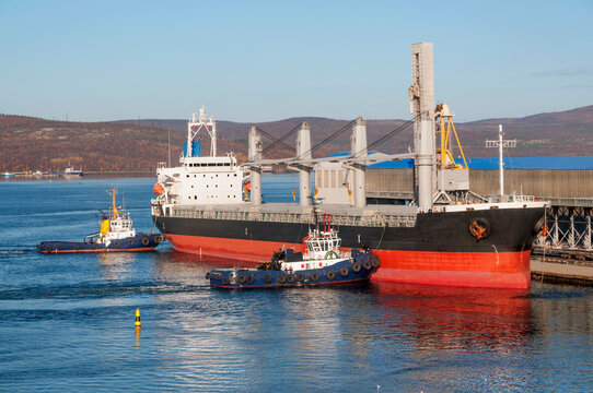 Kola Bay, Murmansk Commercial Sea Port. Tugs are engaged in mooring bulk carriers to the mooring walls, and then unmooring them