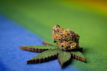 Close up of cannabis flower on a colorful background.