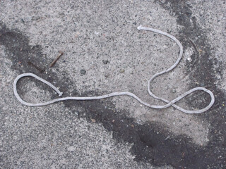 Fototapeta na wymiar a shabby rope lying on the pavement