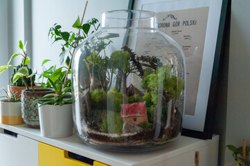 Small decoration plants in a glass bottle, garden terrarium bottle,  forest in a jar. Terrarium jar with piece of forest with self ecosystem. Save the earth concept. Bonsai, set of terrariums, jars