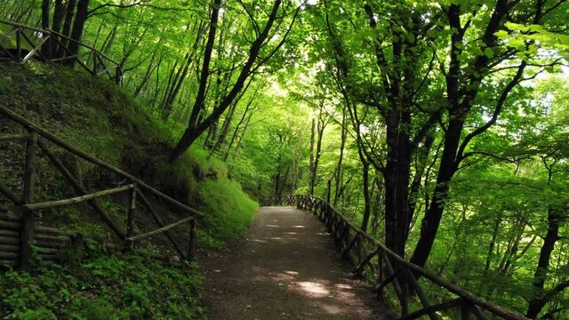 Percorso di montagna