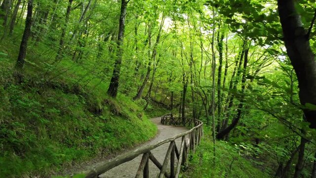 Sentiero nella natura