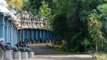 1008 Shiva Temple Salem, Tamil Nadu, India. Hindu temple complex dedicated to Shiva, with 1008 identical Nandi statue array over a hillside.
