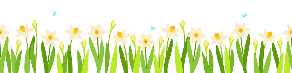 a seamless border of fragrant blossoming daffodils and buds, with fluttering blue butterflies. vector illustration.