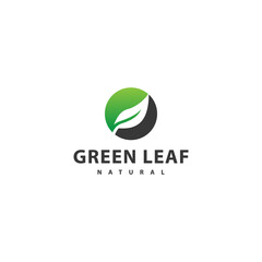 Green Leaf logo design template vector icon illustration