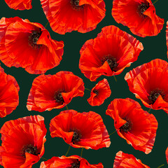 Pattern. Floral backgrounds. Red poppies. Photo collage. Print.