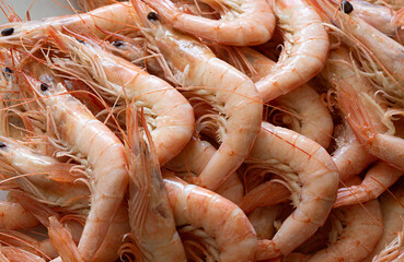 Gambas blancas de Huelva cocidas.