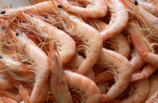 Gambas blancas de Huelva cocidas.