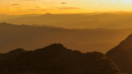 Mountain hill and forest at sunset or evening time. warm light tone.