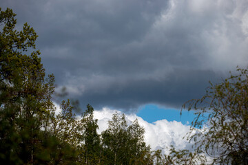 Obraz na płótnie Canvas time clouds over the forest, nacka, sverige, sweden, stockholm