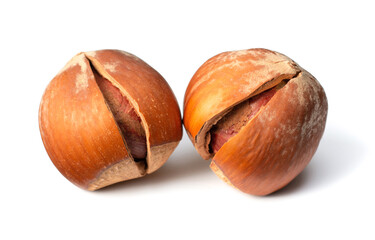 whole hazelnuts isolated on white background