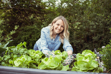 pretty young blonde woman with blue shirt and gloves with flower motif takes care of lettuce in raised bed in garden and is happy
