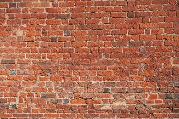 Fototapeta premium Ziegelwand / Backstein Mauer Textur