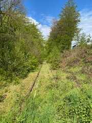 landschaft, natur, road, bahn, baum, bahn, wald, himmel, bahn, sommer, gras, bahn, green, berg, bäuerlich, baum, anreisen, zug, hills, way, frühling, bahn, land, transport, holz