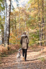 junge Frau geht im Herbst mit Whippet / Windhund im Wald spazieren 