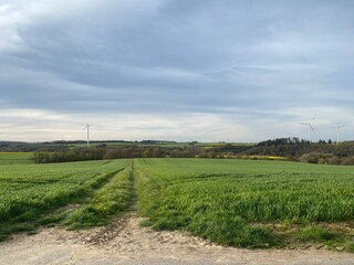 Fototapeta na wymiar Feldweg - Getreide - Himmel - Landwirtschaft an einem Feldweg in der Eifel in Deutschland