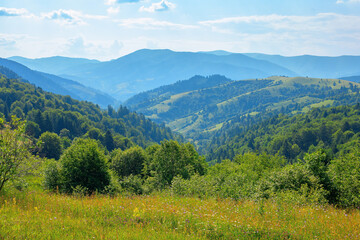 Fototapeta na wymiar countryside landscape in summer. beautiful nature scenery with meadows on the hills rolling in to the distant valley. wonderful sunny weather