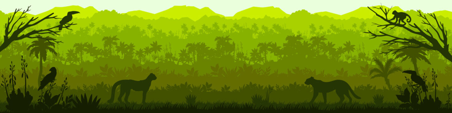 Jungle forest vector silhouette, green tropical nature background, amazon rainforest panoramic landscape. Wild fauna illustration, leopard, monkey, toucan, parrot outline. Jungle silhouette banner