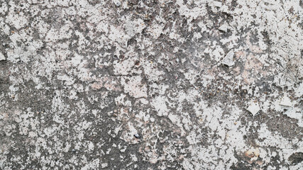 Texture of old white concrete wall for background. abstract grey for background. gray background Wall texture