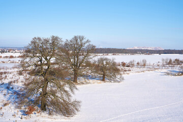 Landschaft mit Bäumen am Ufer des Flusses Elbe nahe dem Ort Glindenberg im Winter